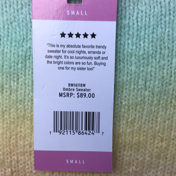 BB Dakota☀️Pastel striped Ombre sweater - Picture 9 of 11